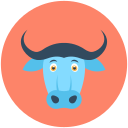 animal, bovine animal, bull, bullock, ox