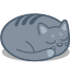 sleep, cat 