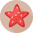 animal, fish, sea star, seafood, starfish