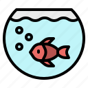 aquarium, bowl, fish, goldfish, pet