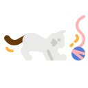 cat, people, person, pet, play