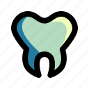dental, dentist, dentistry, healthy, mouth, teeth, tooth