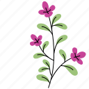 rustic, flower, plant, leaf